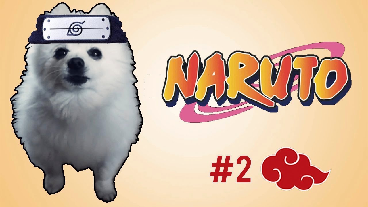 #2 MÚSICA DE BATALHA DO NARUTO em CACHORRÊS