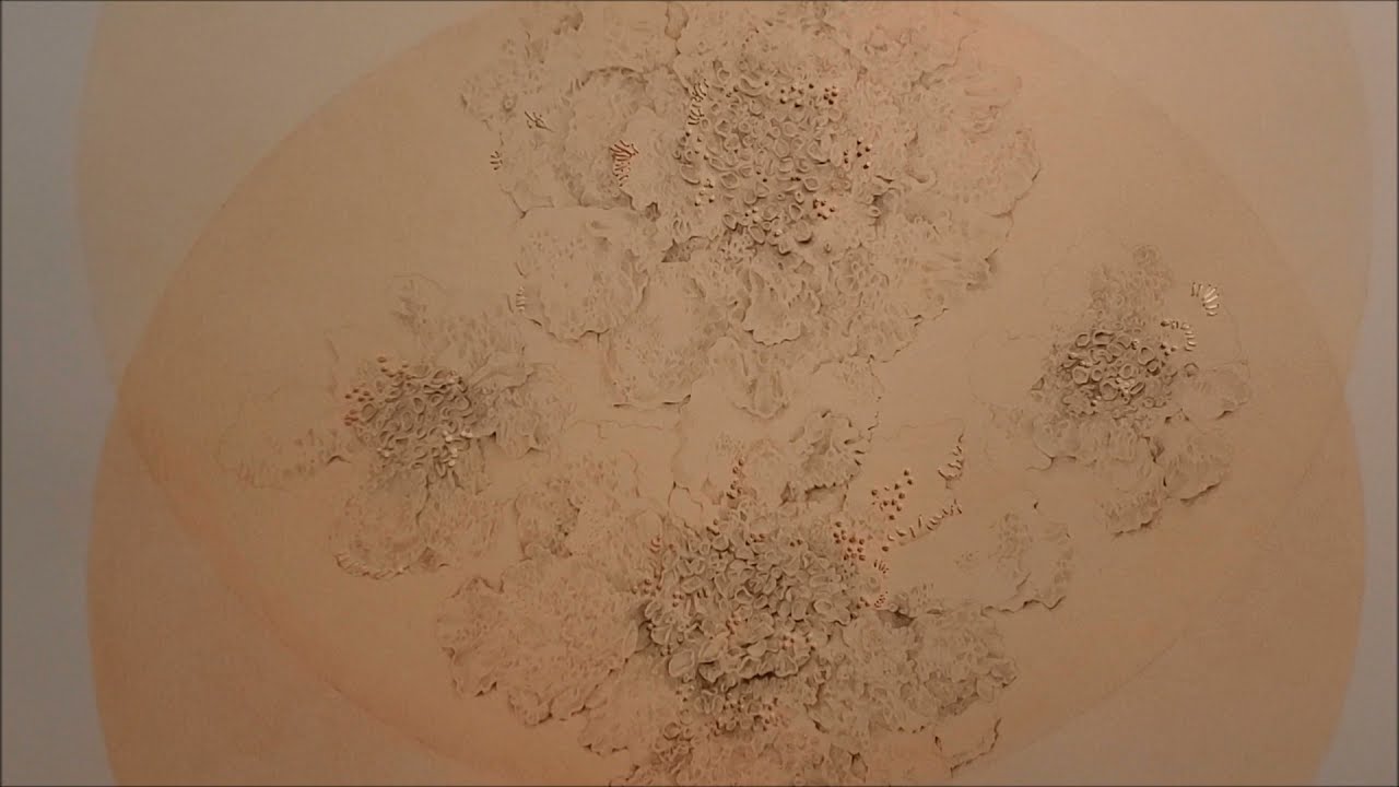 Exhibition tour of &ldquo;An Intimate Ecosystem&rdquo; by Carrie Phillips Kieser