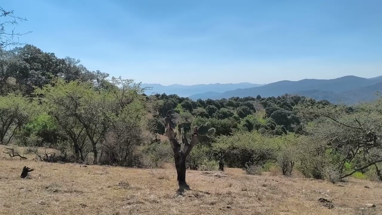 Disfruta el paisaje de SLP sierra de Álvarez 