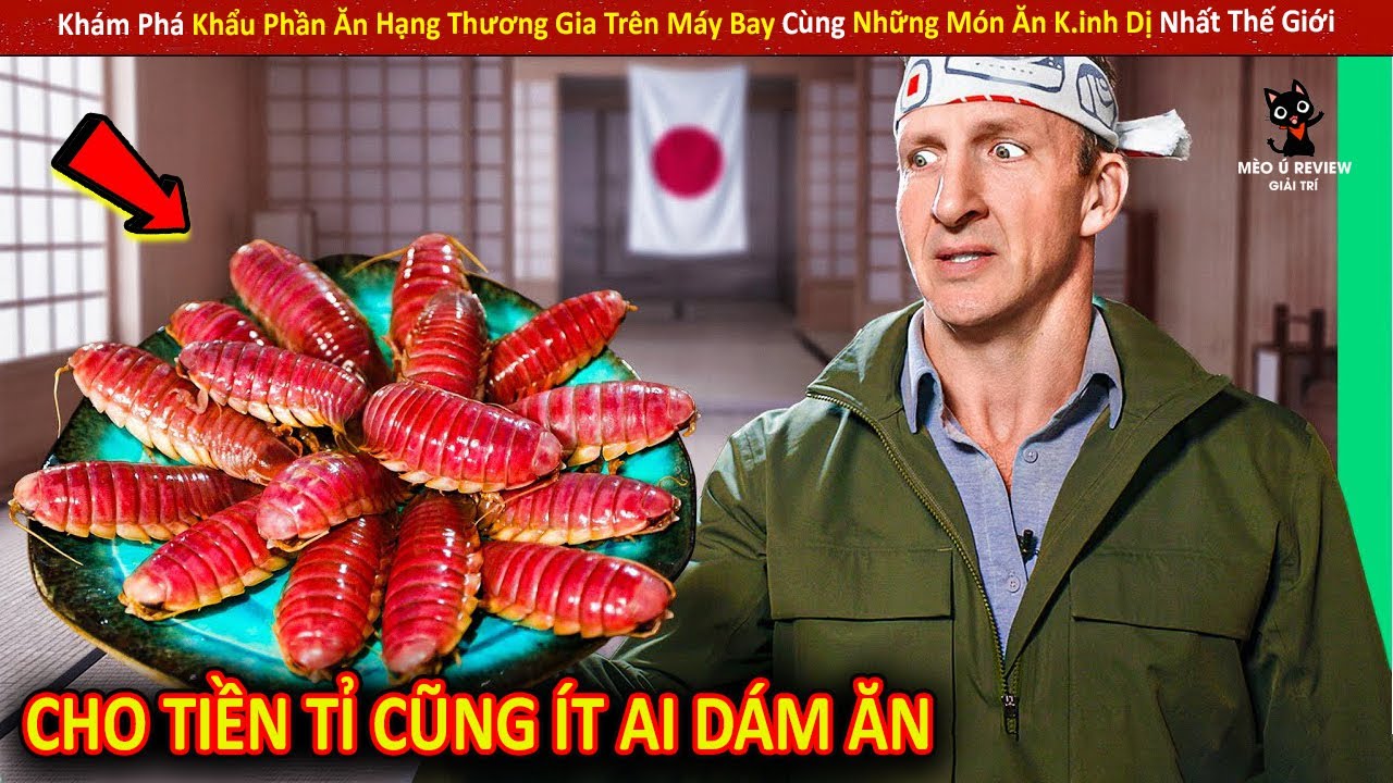 Khám Phá Khẩu Phần Ăn Hạng Thương Gia Trên Máy Bay Cùng Những Món Ăn K.inh Dị Nhất Thế Giới