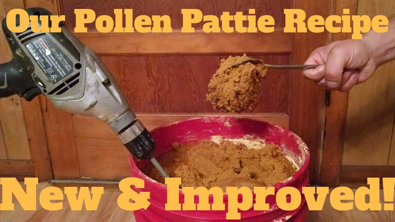 🔵Easy pollen patty recipe