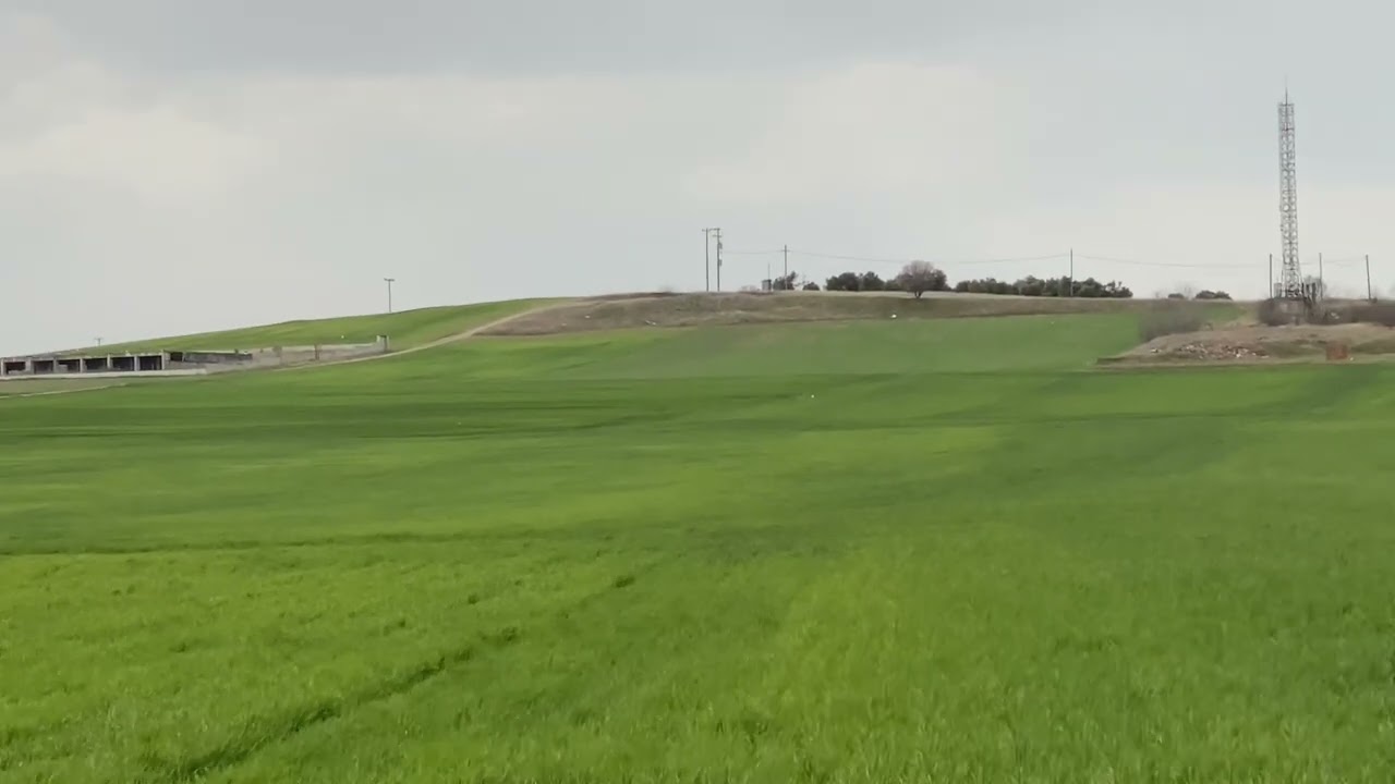 წინანდალის ცა (პოინტერი) - ევროპის 2024 წლის ჩემპიონი დიდ ძებნაში