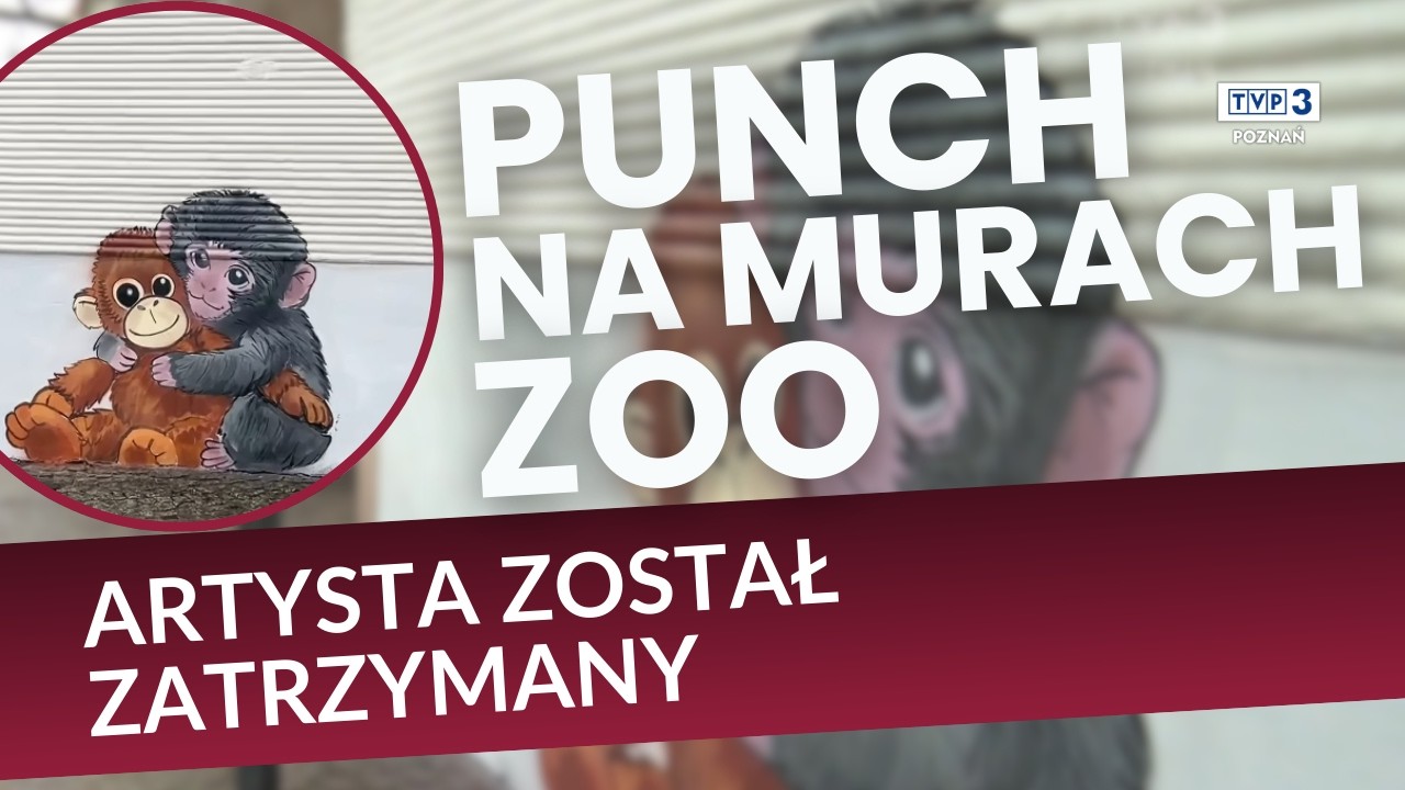 🔵 MAŁPKA PUNCH NA MURACH STAREGO ZOO W POZNANIU || TWÓRCA MA KŁOPOTY?