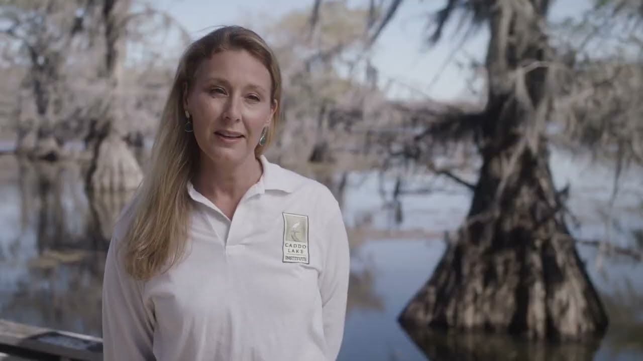 Caddo Lake institute - Conserving and protecting the unique and bountiful Caddo Lake