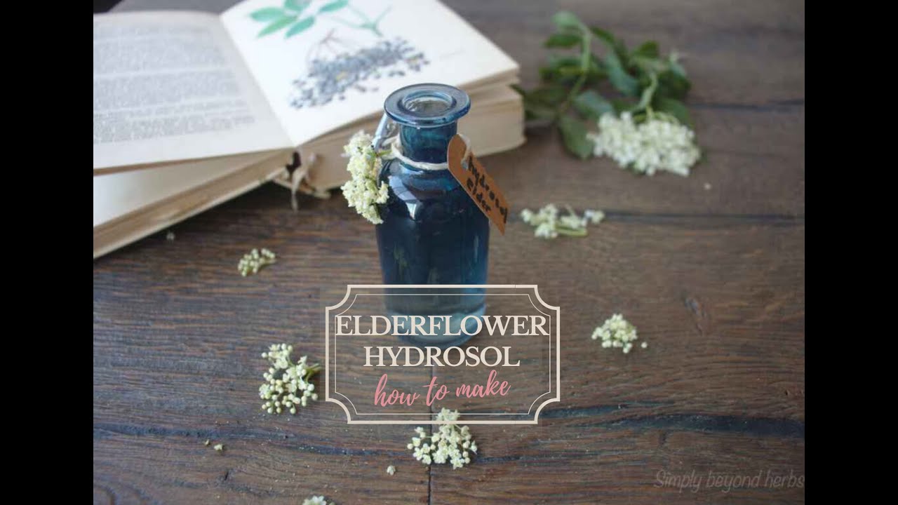 Making Elderflower Hydrosol