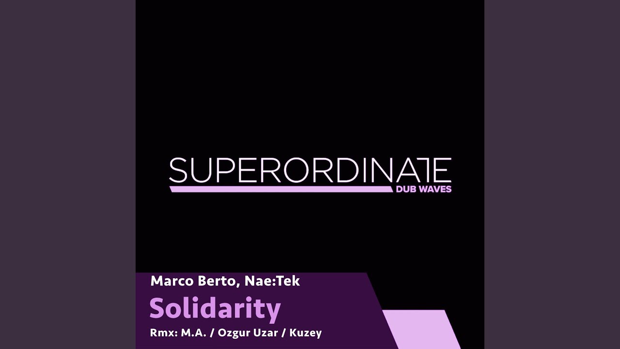 Solidarity (M.A. Rmx)