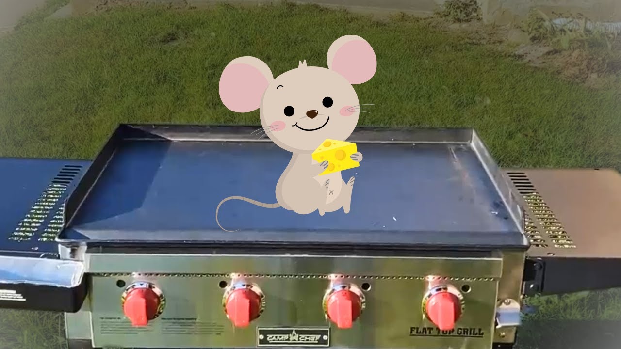 How To Remove Mice From Your Griddle or Grill