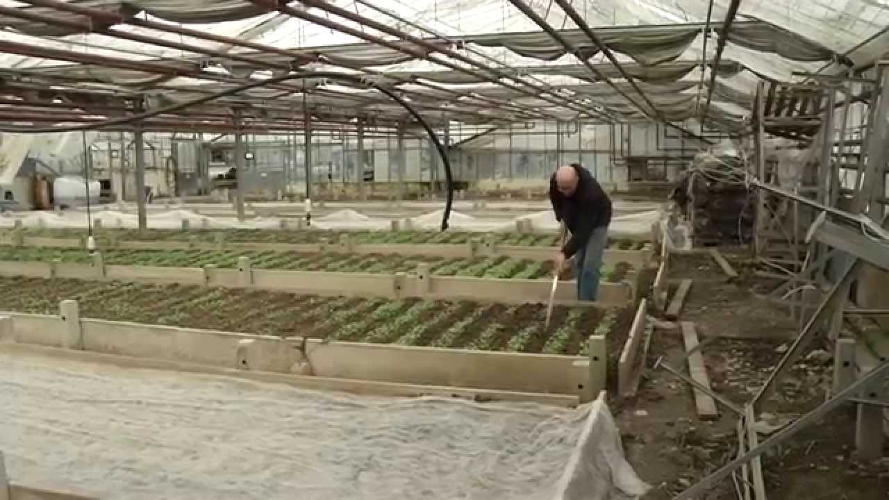 Les Jardins de la Montagne verte