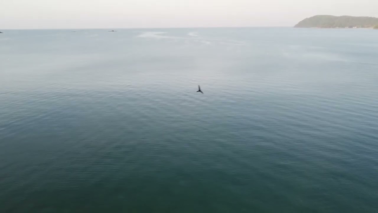 DJI Mini 2 gimbal problem