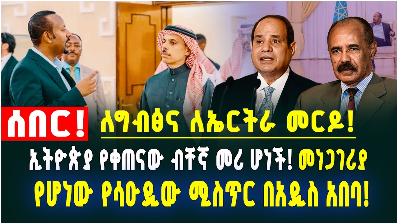 ኢትዮጵያ የቀጠናው ብቸኛ መሪ ሆነች!ለግብፅና ለኤርትራ መርዶ! መነጋገሪያ የሆነው የሳዑዲው ሚስጥር በአዲስ አበባ! Hak Media February 12, 2026