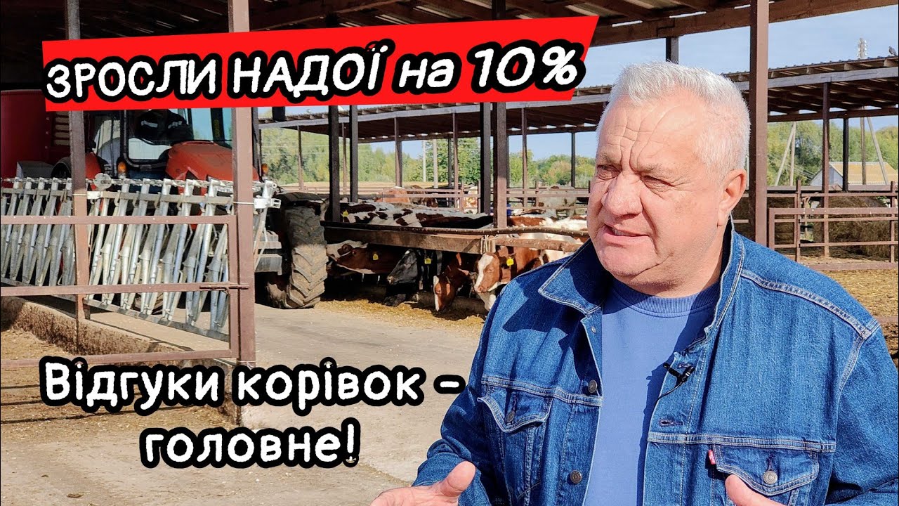 Трактор KUBOTA M5112 після 4000 годин на фермі Астарта! Як отримують якісне молоко👍