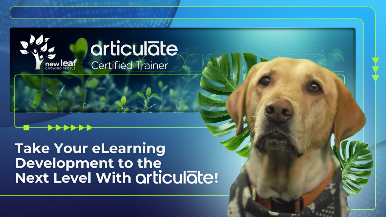 Day in the Life of Nosh Ft Articulate – the #1 eLearning Platform!