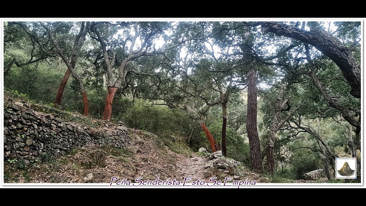 *ESLIDA-COLL ROIG-ALT DE LA COSTERA*