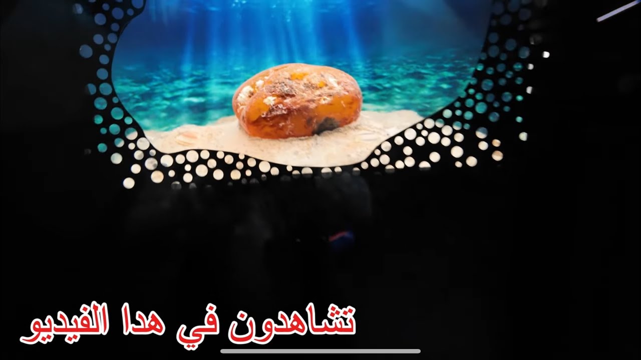 مكان ممنوع الاقتراب… صار متحف🔥😱😱