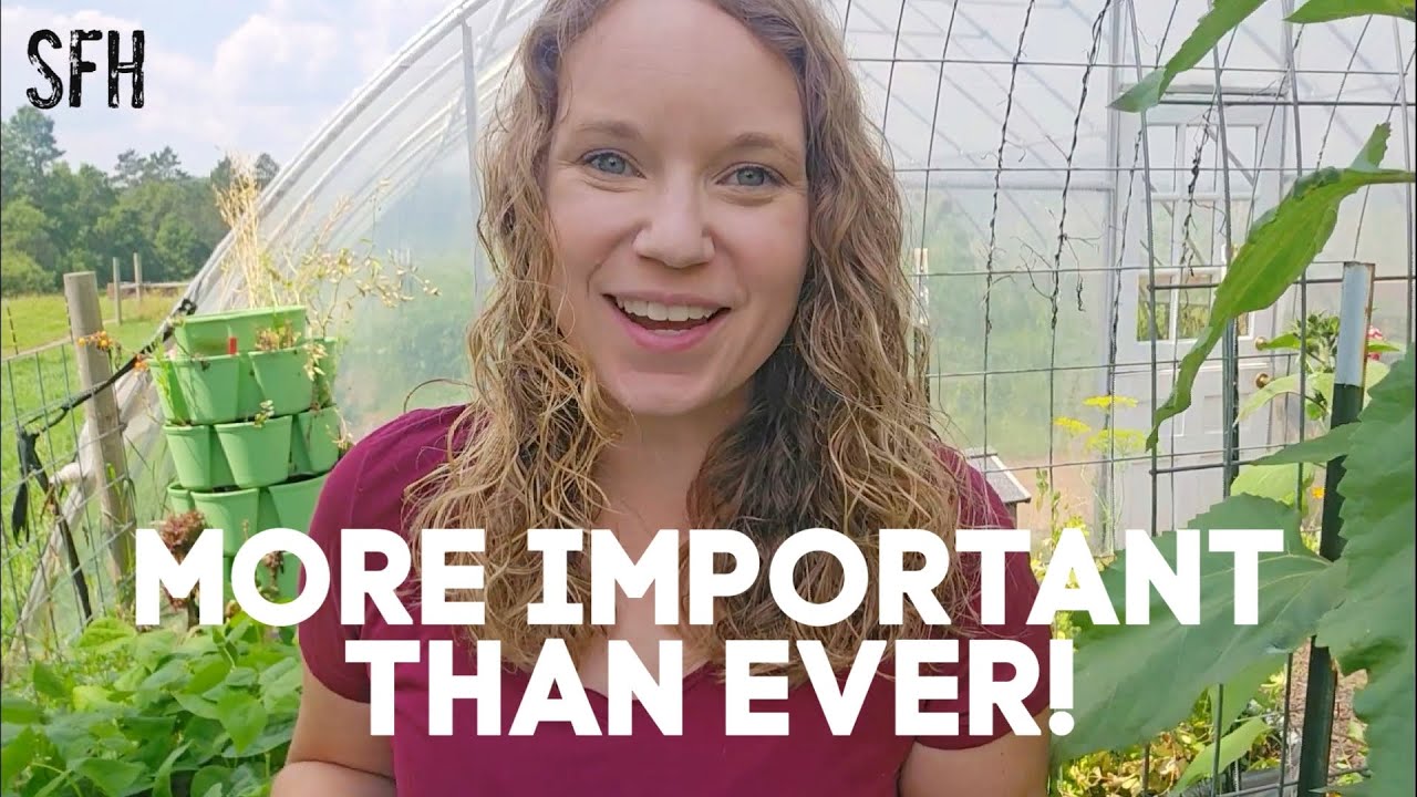 Preserving Food Every Day! | Every Bit Counts Challenge