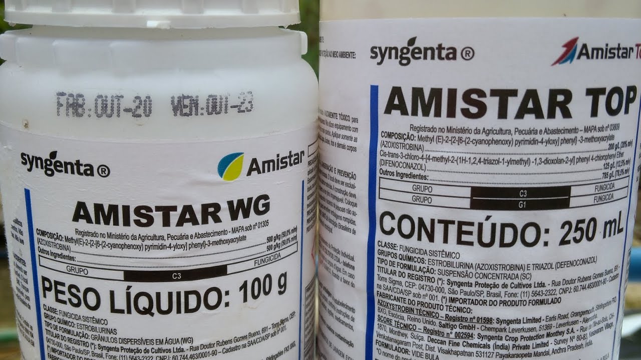 AMISTAR TOP OU AMISTAR WG? QUAL A DIFEREN&Ccedil;A? QUAL USAR?