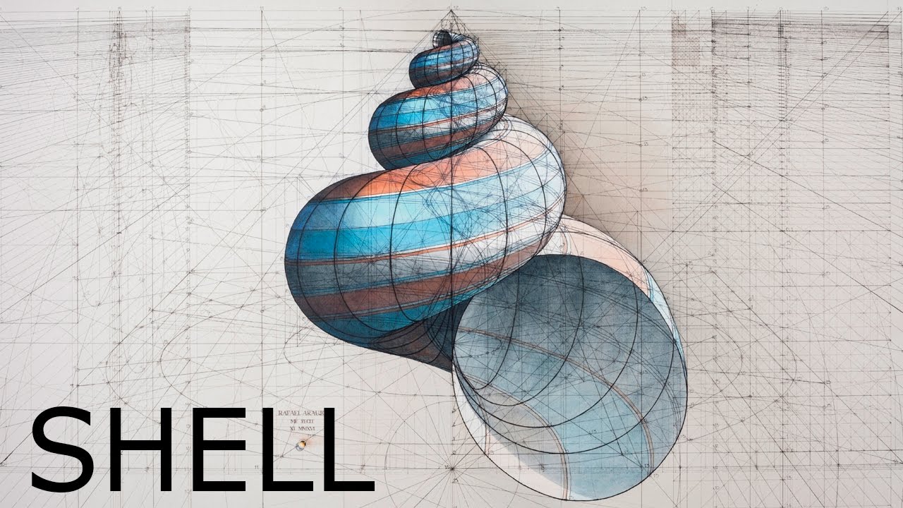 Shell by Rafael Araujo