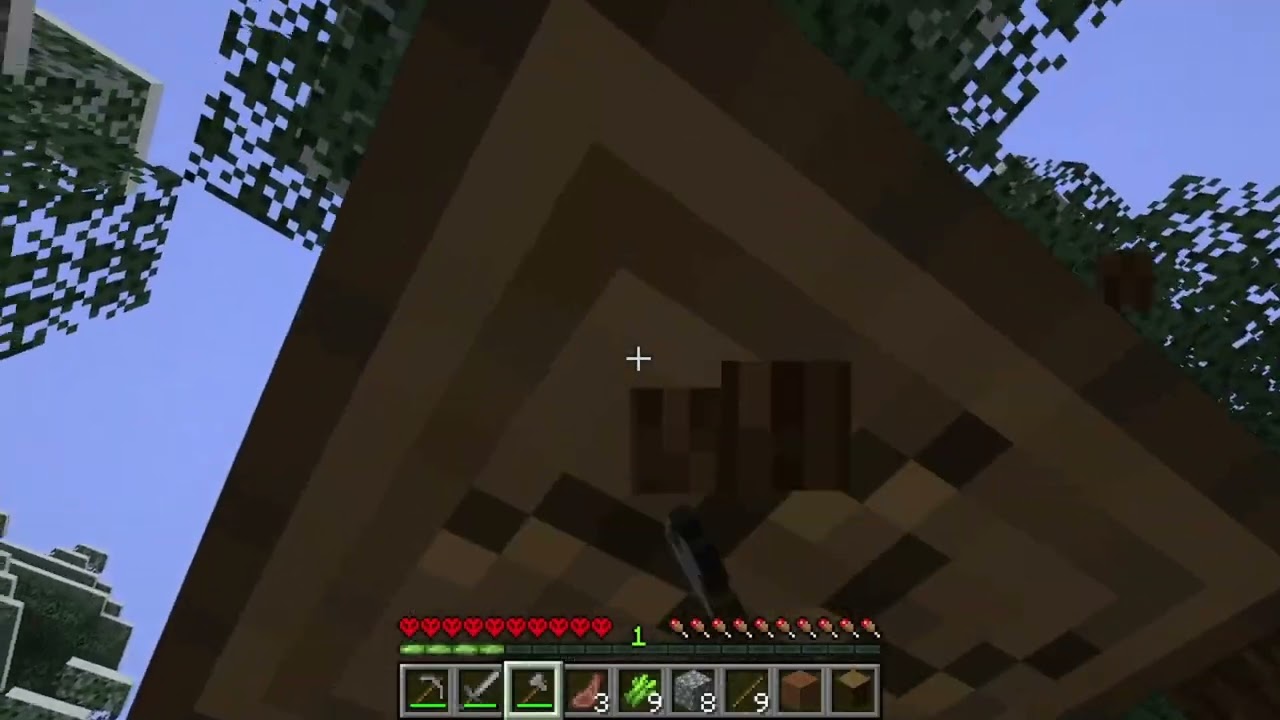 Primer Video: MINISERIE DE MINECRAFCFT!!!!