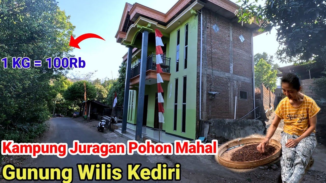 Desa Terpencil Tapi Kaya di Gunung Wilis Kediri 