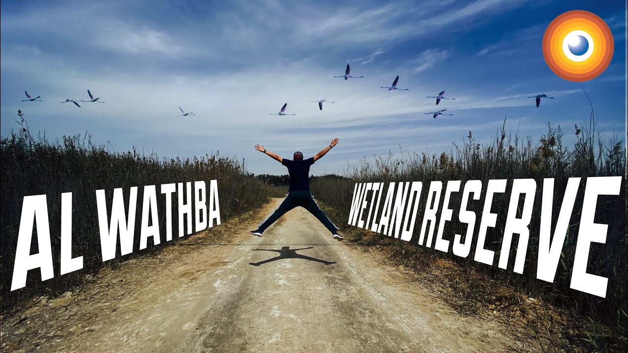 Al Wathba Wetland Reserve in Abu Dhabi [4K]