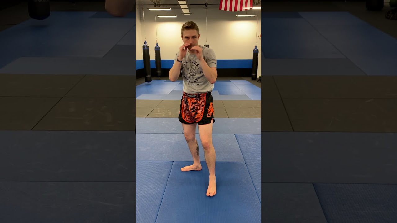 Muay Thai elbows! (WTBA 1-9 elbows)