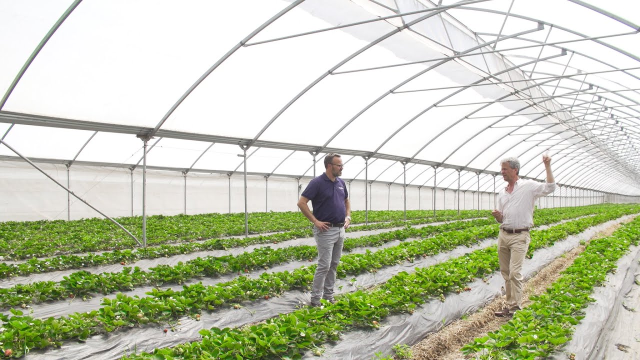 Take a Tour of Haygrove Farm with our CEO and Managing Director