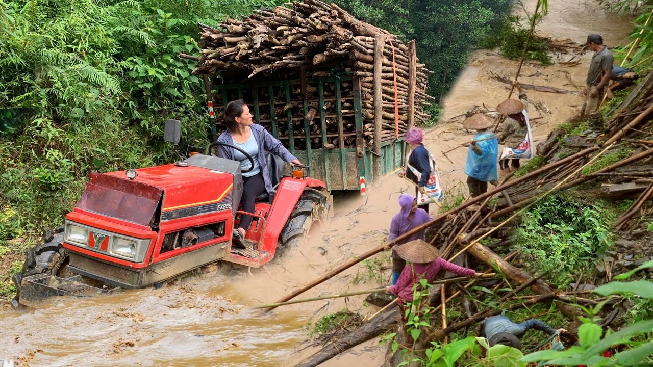 The mechanical girl worked as a driver, driving the tractor up a steep hill to load firewood