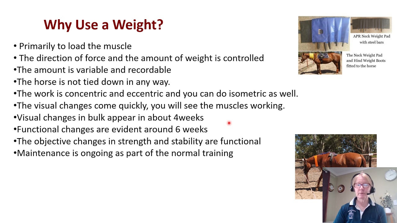 Equitana Presentation Strength Training in Horses Using Weights