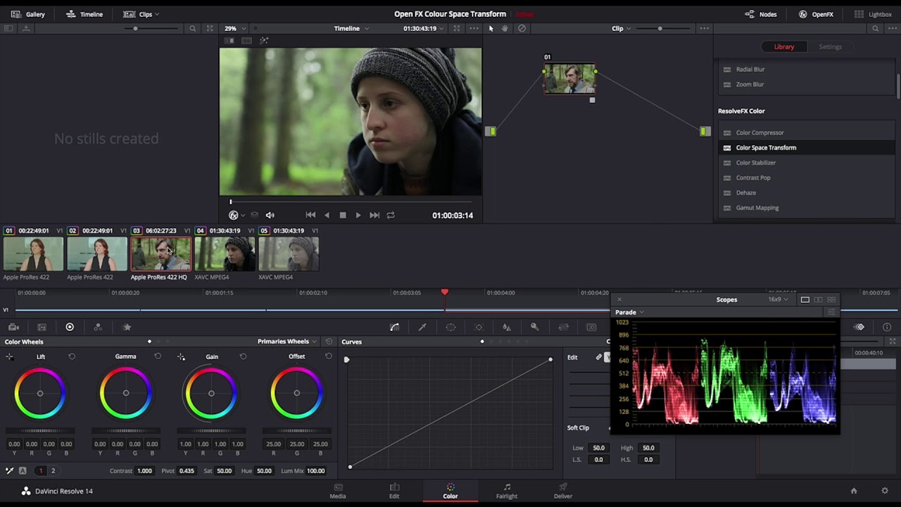 Resolve Colour Space Transform Overview