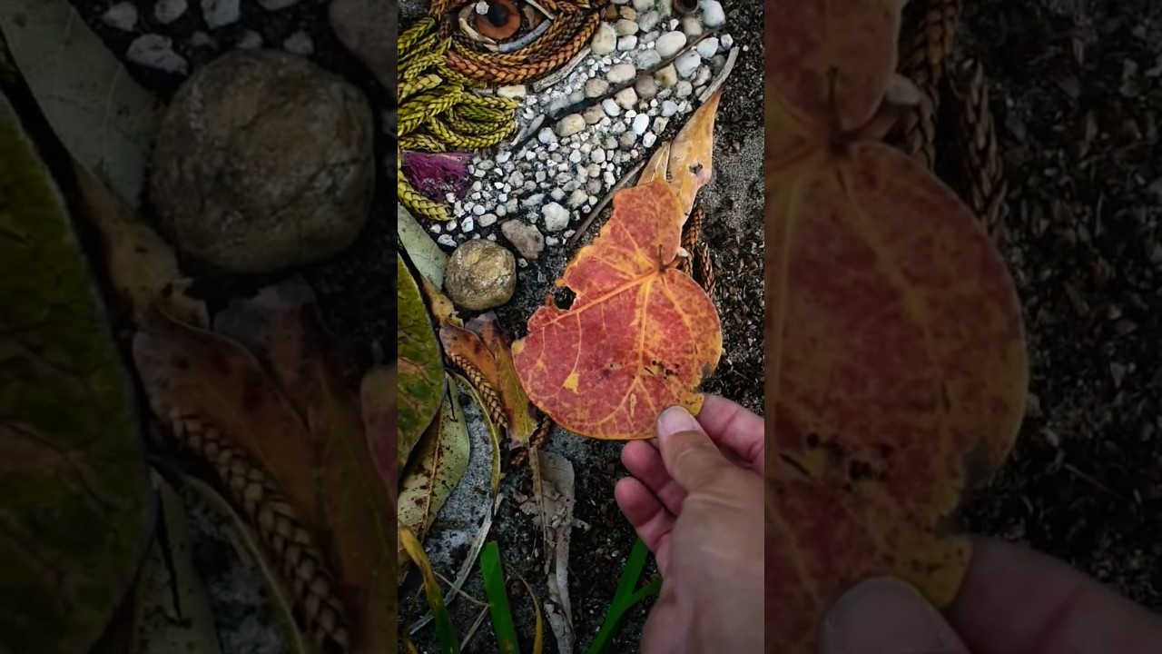 Creating an Iguana with Leaves & Pebbles | Nature-inspired Art #art #shorts