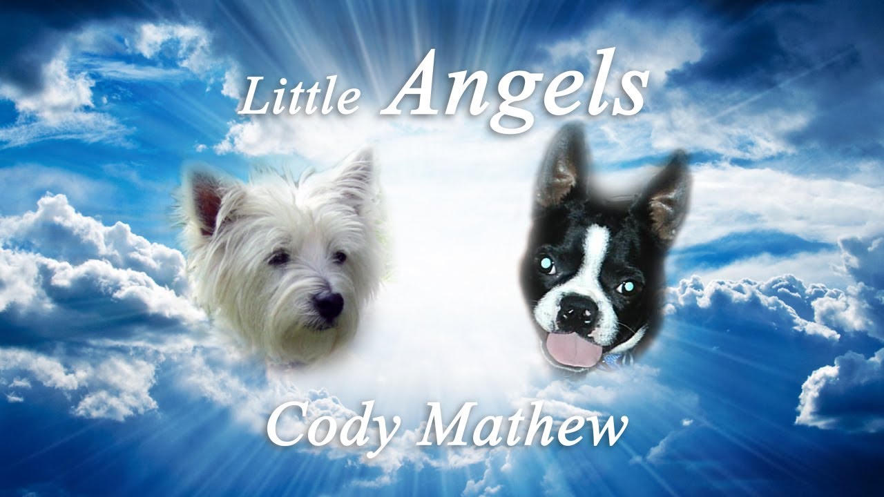 Little Angels - Cody Mathew