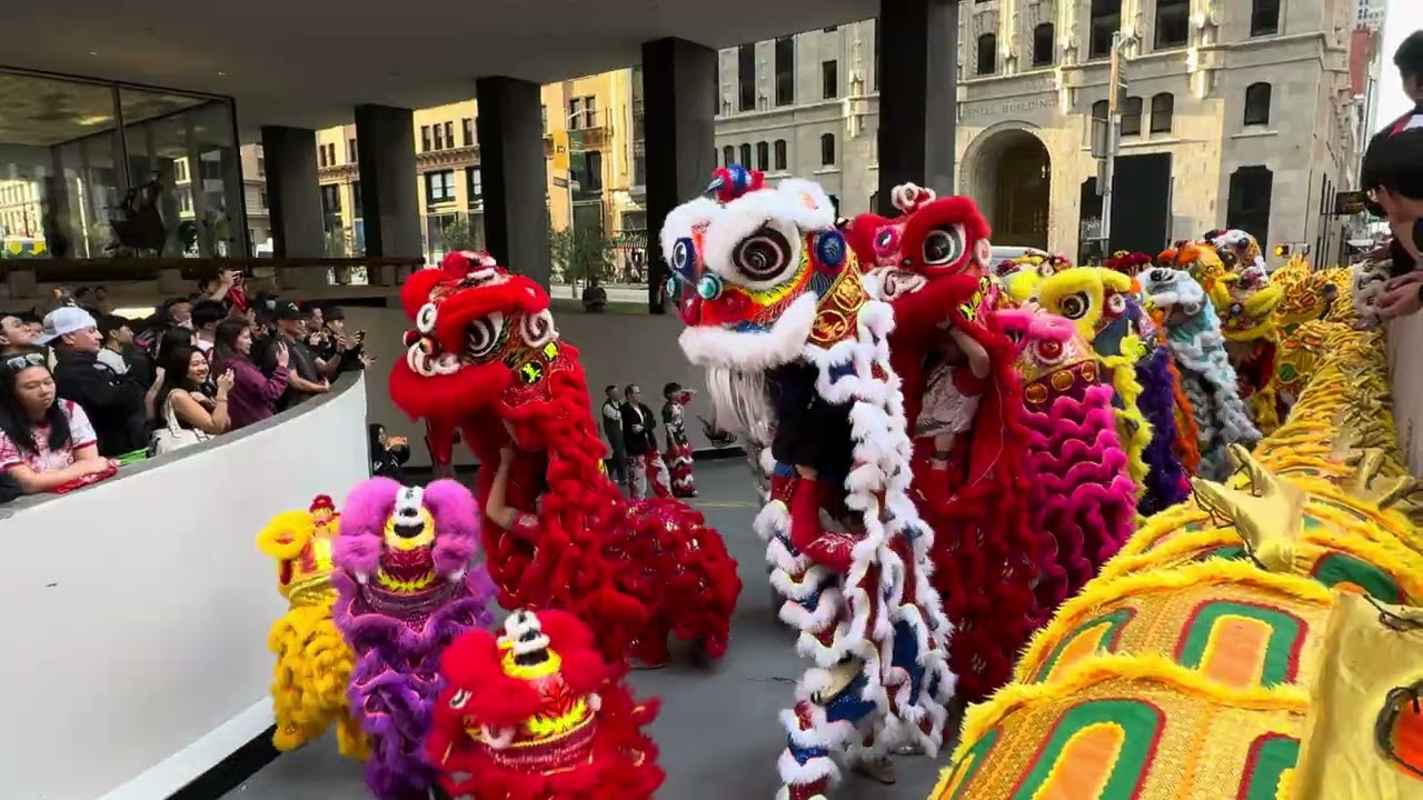 Leung's White Crane Dragon & Lion Dance Association Practice before the parade 