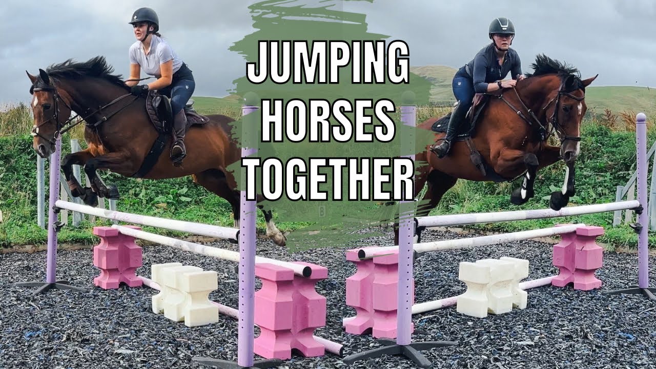 JUMPING OUR HORSES! | Highest Jump Yet!