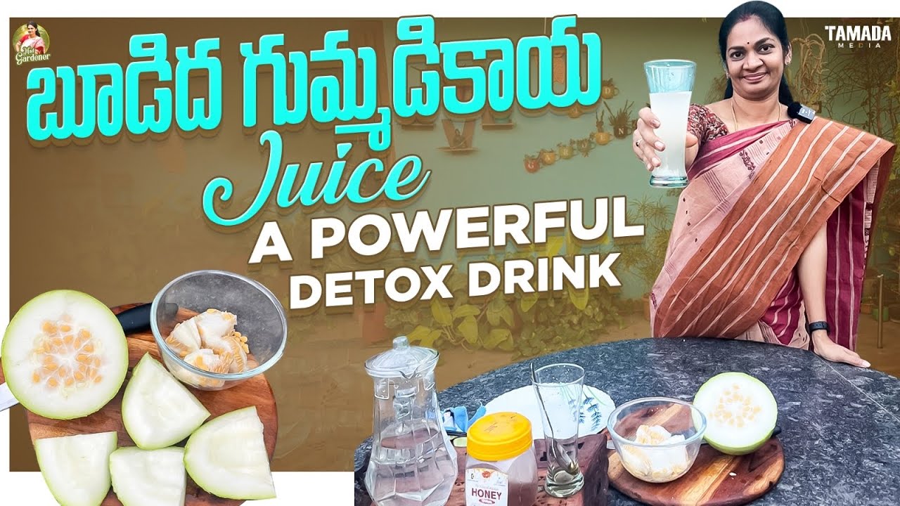 AshGourd Juice/దీని ప్రయోజనాలు తెలుస్తే గుమ్మానికి కట్టుకోవటం కాదు కడుపులో వేసుకుంటారు @MADGARDENER