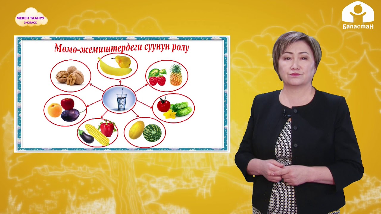 МЕКЕН ТААНУУ 3-класс / Топурактын түзүлүшү жана курамы / ТЕЛЕСАБАК 19.02.21