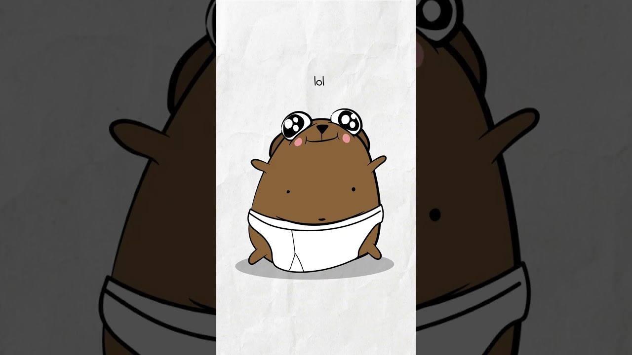How my pets see me