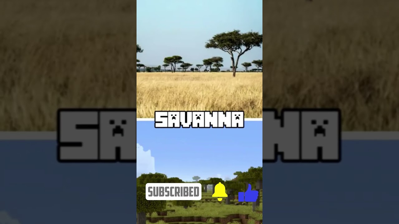 Minecraft Biomes in Real Life! Part 2