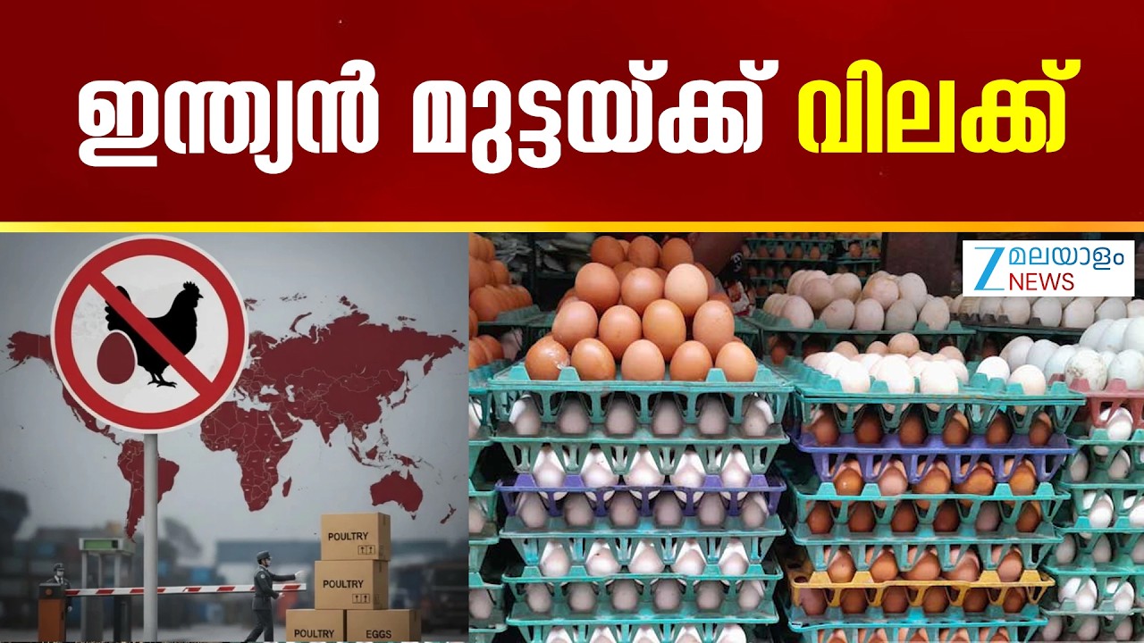 Saudi Arabia bans India Eggs |  മുട്ട ഇറക്കുമതിക്ക്  പൂർണ നിരോധനം ഏർപ്പെടുത്തി സൗദി അറേബ്യ