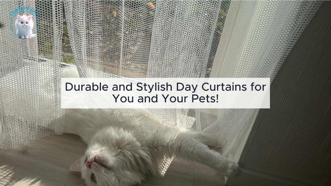 Durable and Stylish Day Curtains for You and Your Pets
