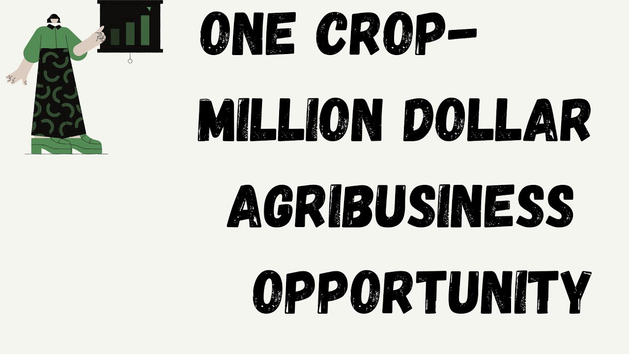 One District- One Product, Agro Processing Clusters- A Million Dollar AgriBusiness Ideas