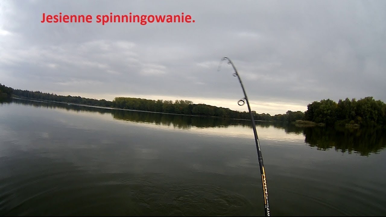 Jesienne spinningowanie. szczupaki