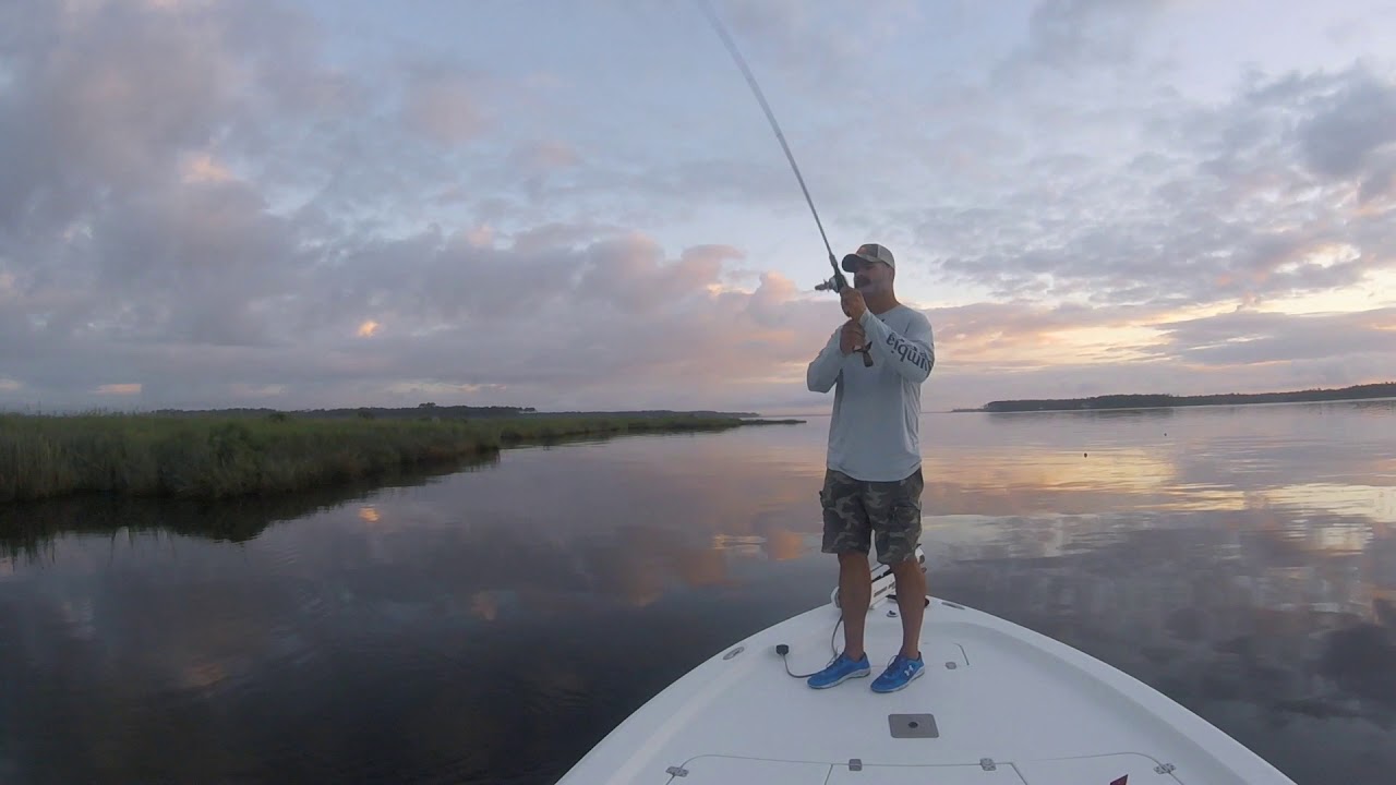Best topwater hits of 2017