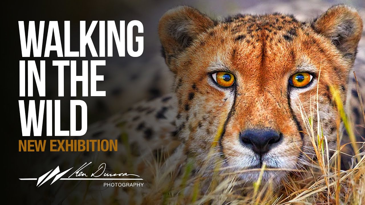 Ken Duncan 2020 Walking in the Wild Exhibition