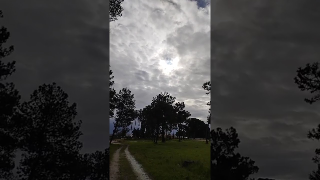 145° Aula Peregrina e Online de Nível 1🌍Pára, Respira e Testemunha 💫 Meditação Guiada - 40 Práticas