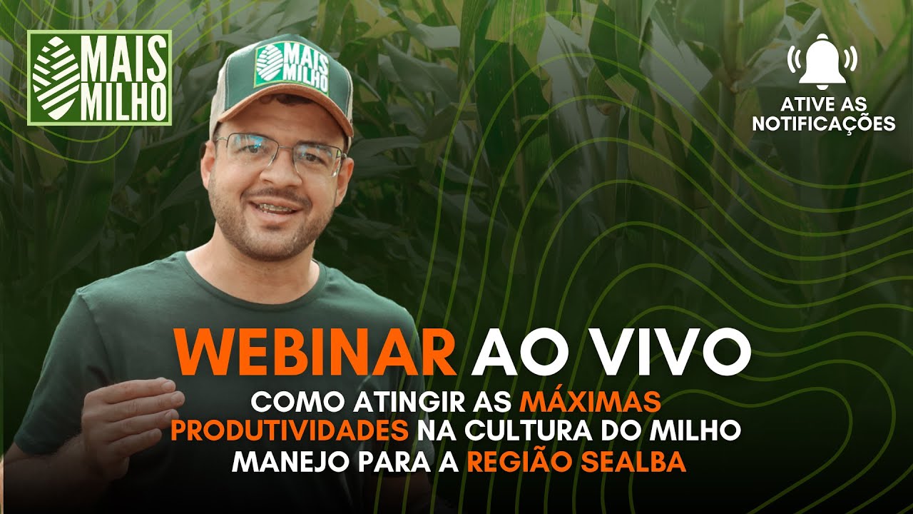 COMO ATINGIR AS MÁXIMAS PRODUTIVIDADES NA CULTURA DO MILHO? WEBNAR MAIS MILHO