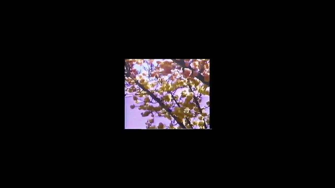 Cross Bones Style - Cat Power ( slowed + reverb )