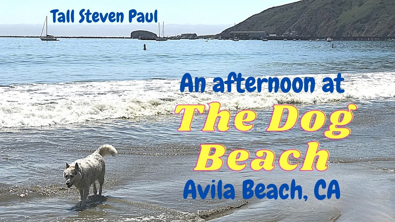 The Dog Beach, Avila Beach, CA