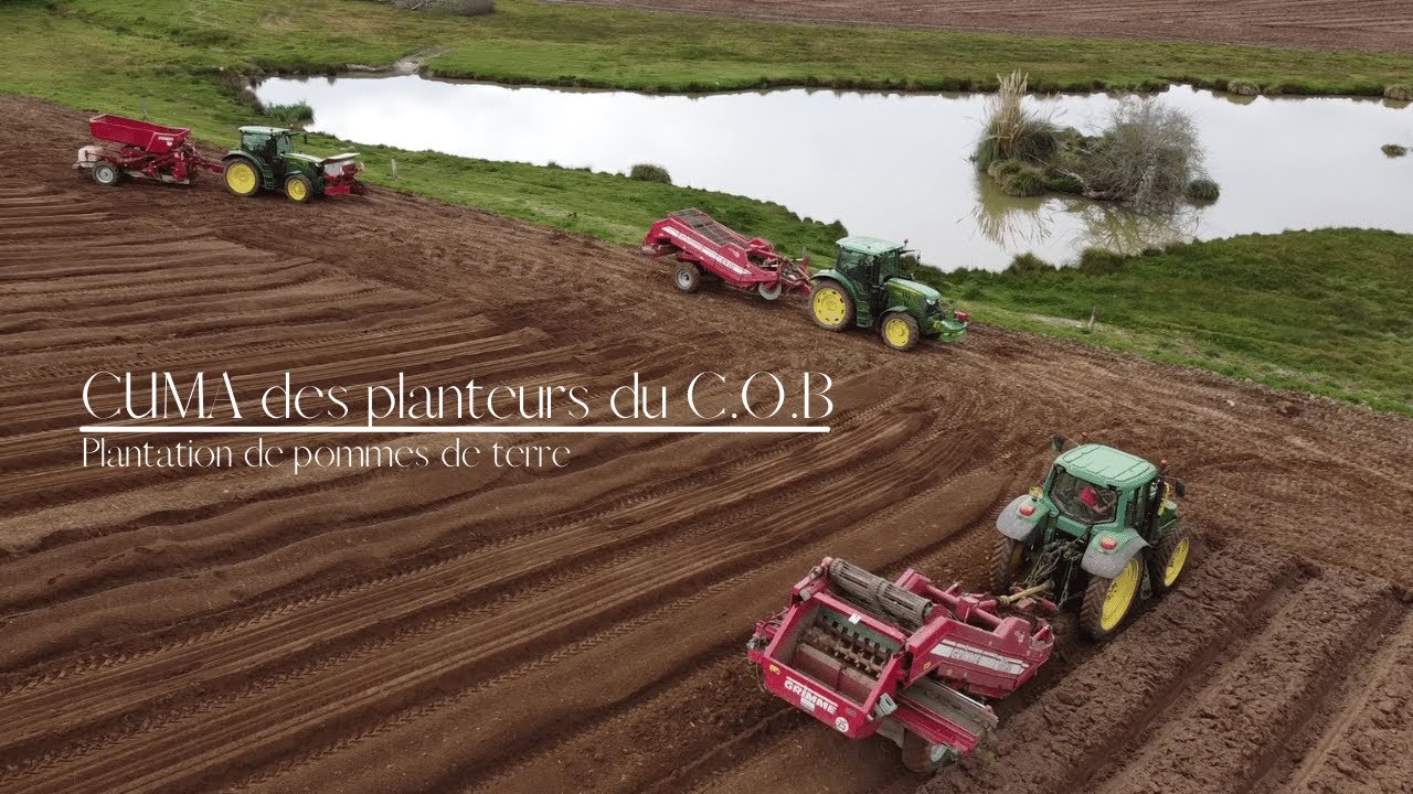 Plantation de pomme de terre 2021
