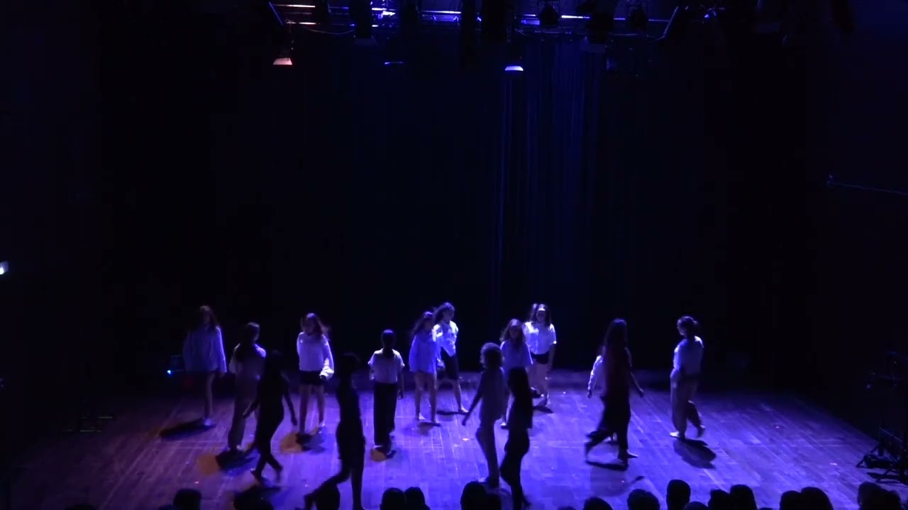 Sense Sentit i Relacions. Dansa 4 i 5.