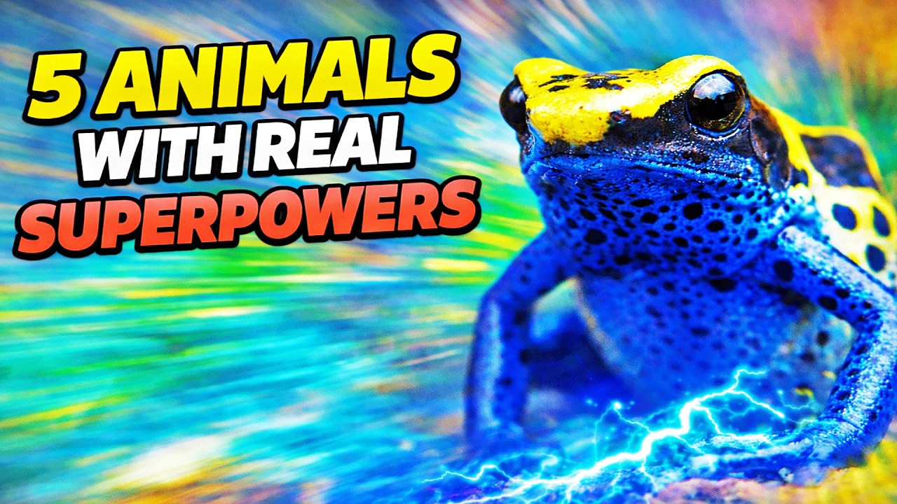 Animals With Powers That Shouldn&rsquo;t Exist